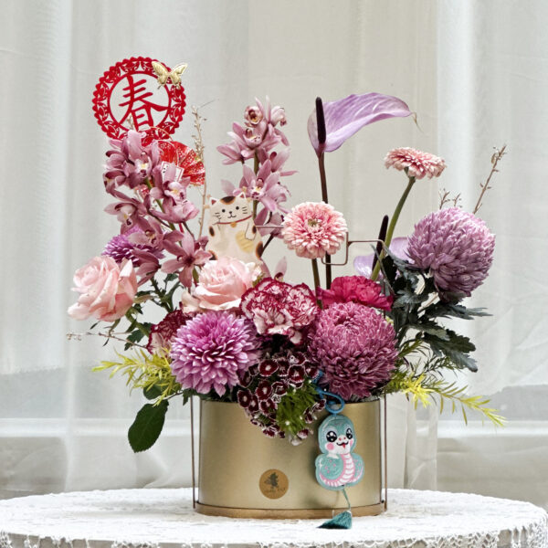 迎春日常