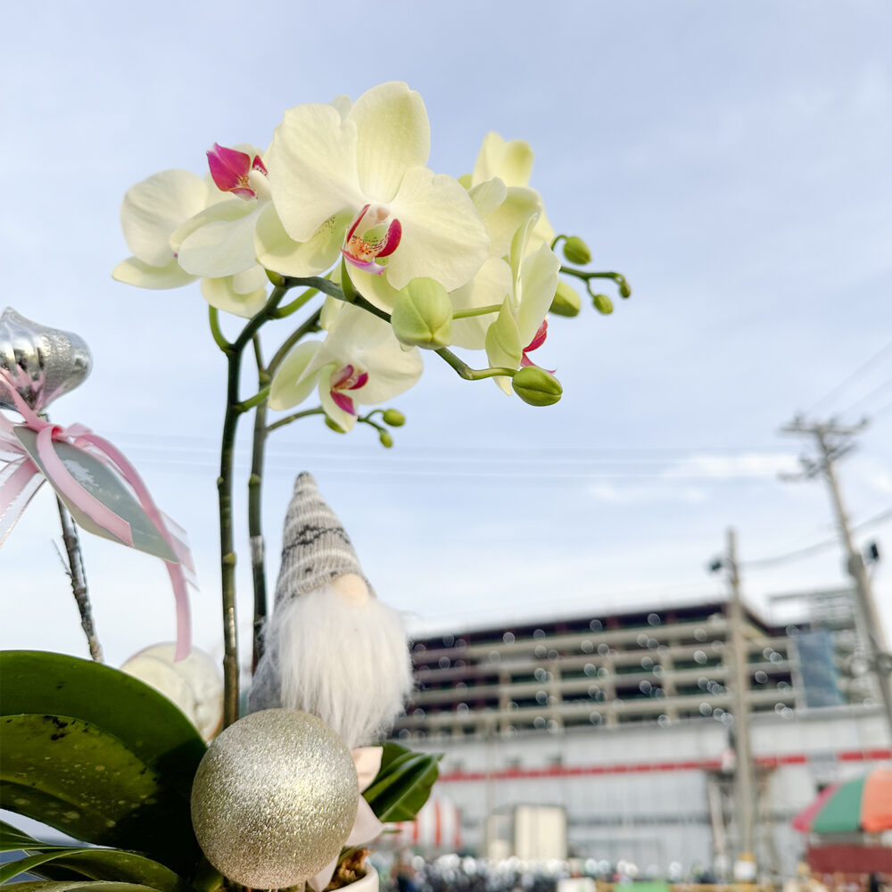 一路向北