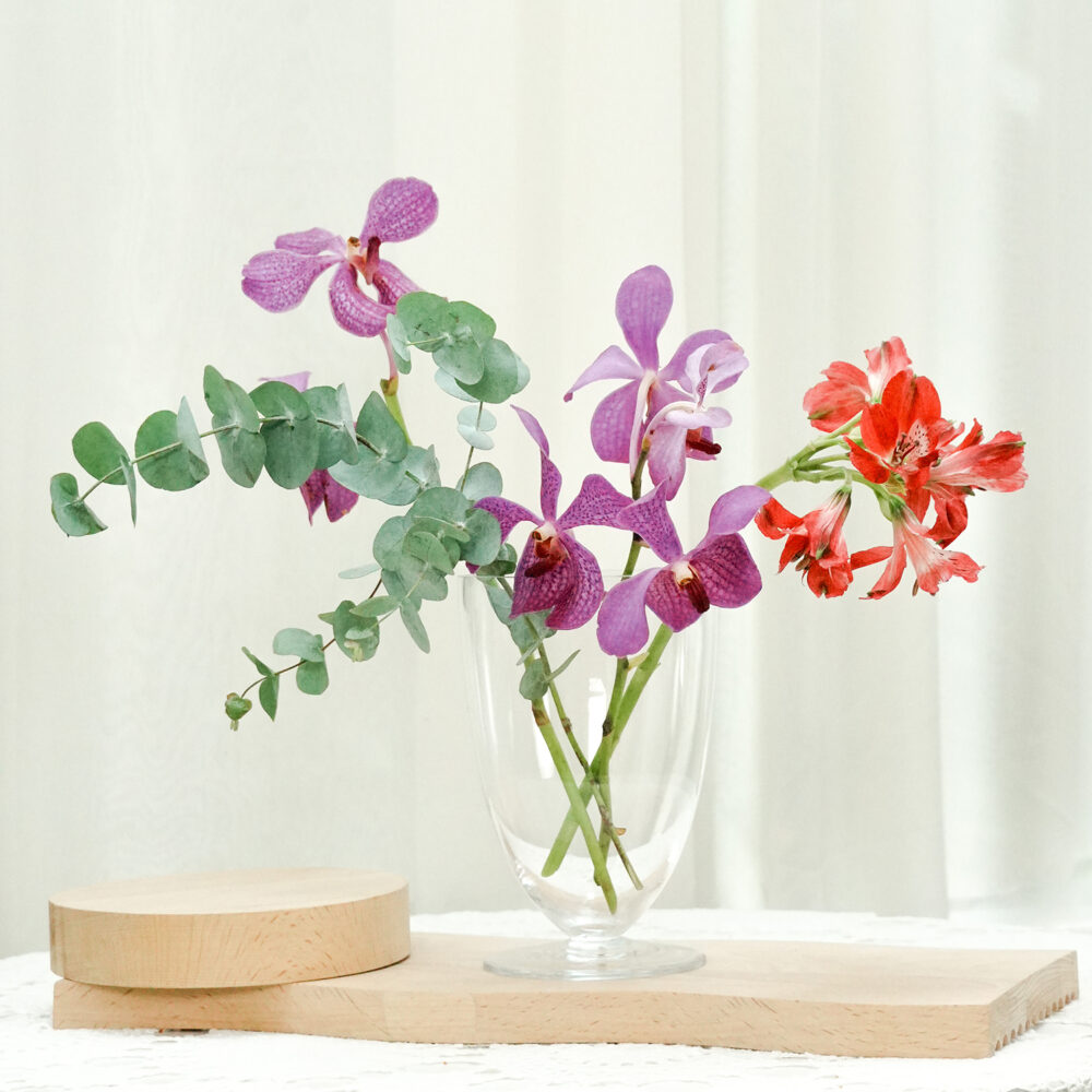 家家酒｜預購